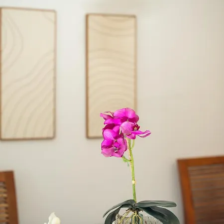 Punta Del Sole アパート *